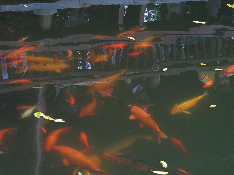 poi-image-1