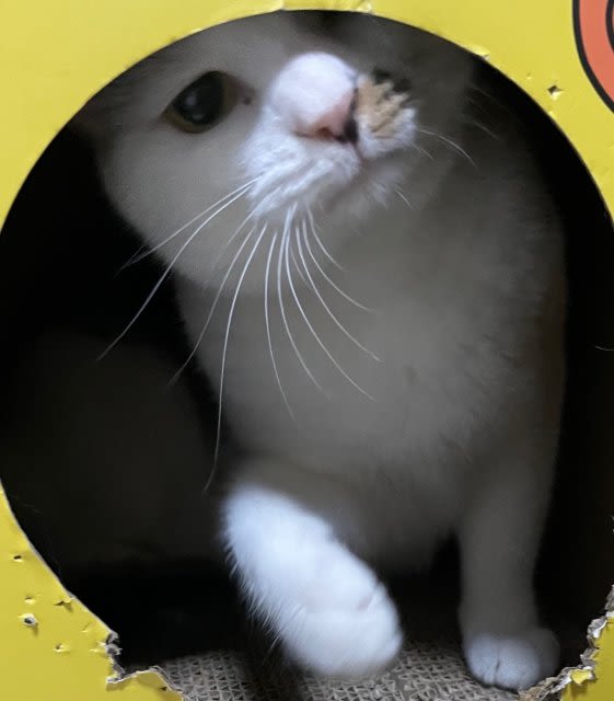 user profile image
