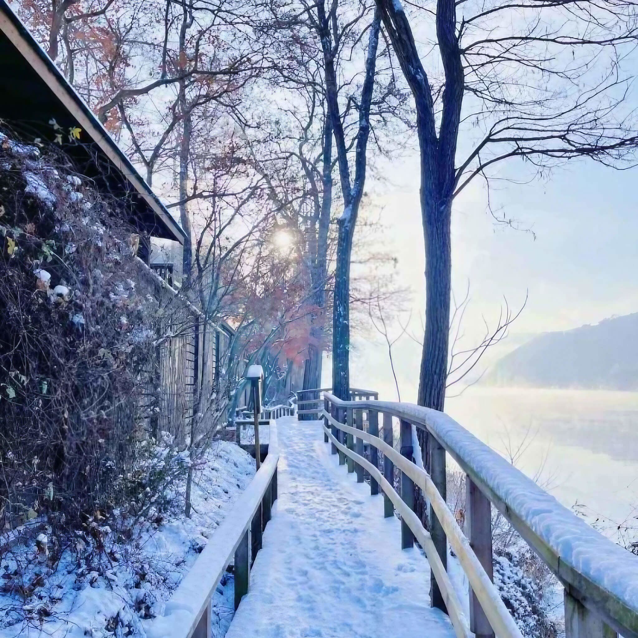 Perfect Winter Escape
in Gyeonggi-do