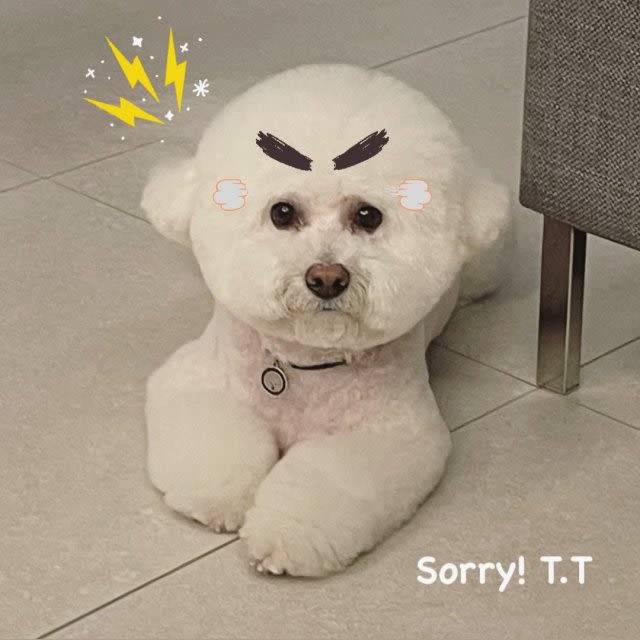 user profile image