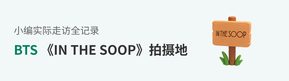 BTS IN THE SOOP