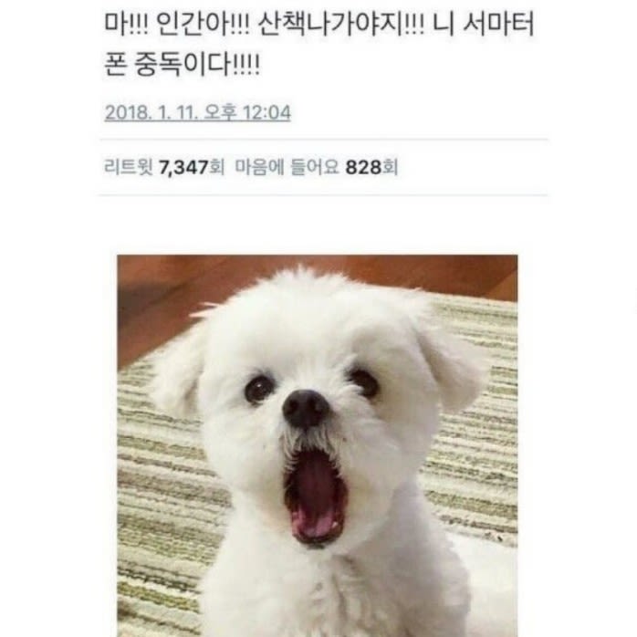 리빅