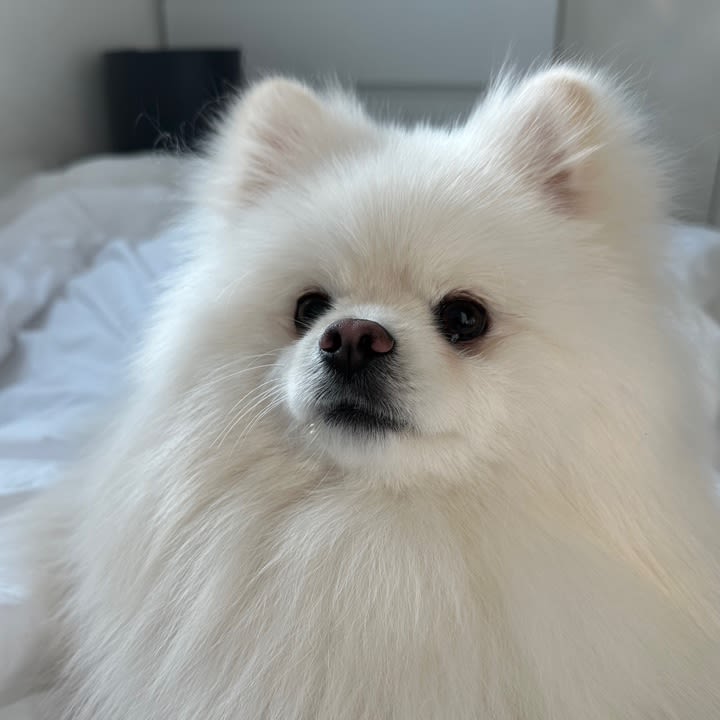 윤수민