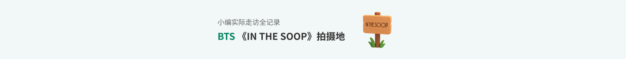 BTS IN THE SOOP