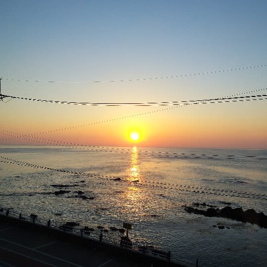 조경우