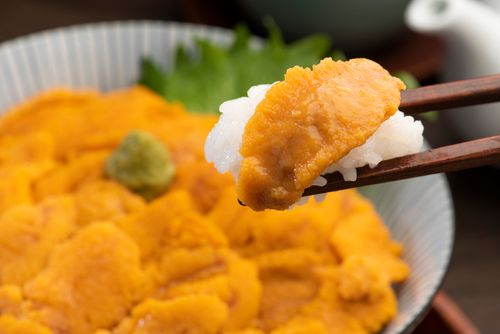 ウニ丼