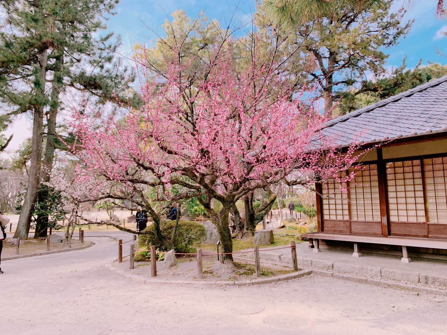 poi-image-2