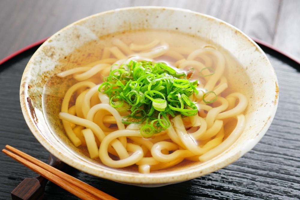 Udon noodles