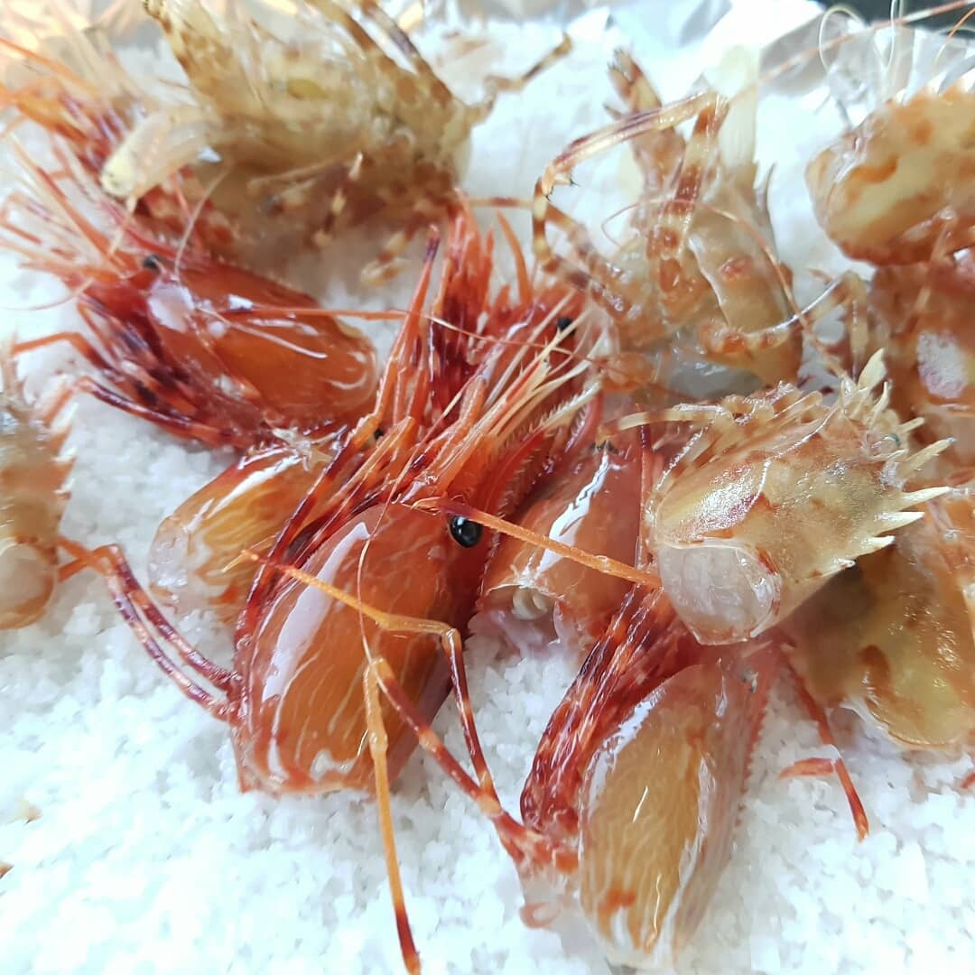 独島アカエビ・イセエビ（刺身・焼き）