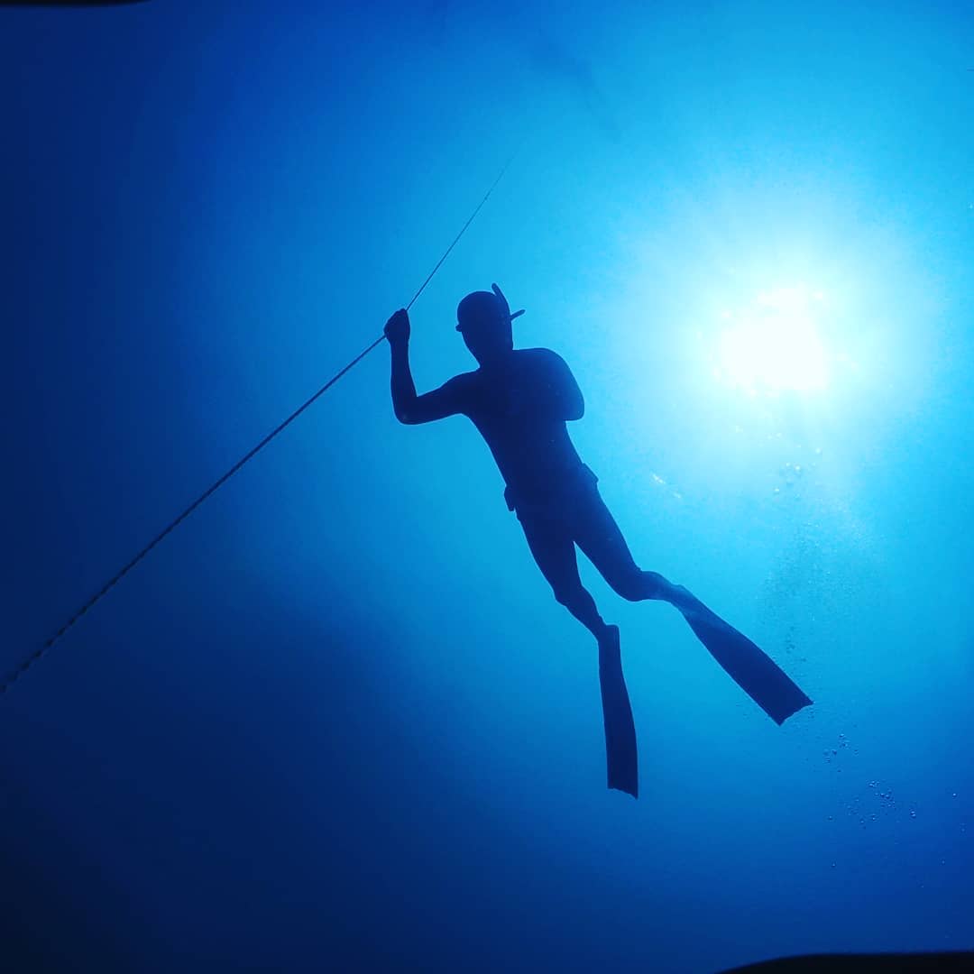 济州岛Eco Divers：专业西归浦水肺潜水体验| NOL World