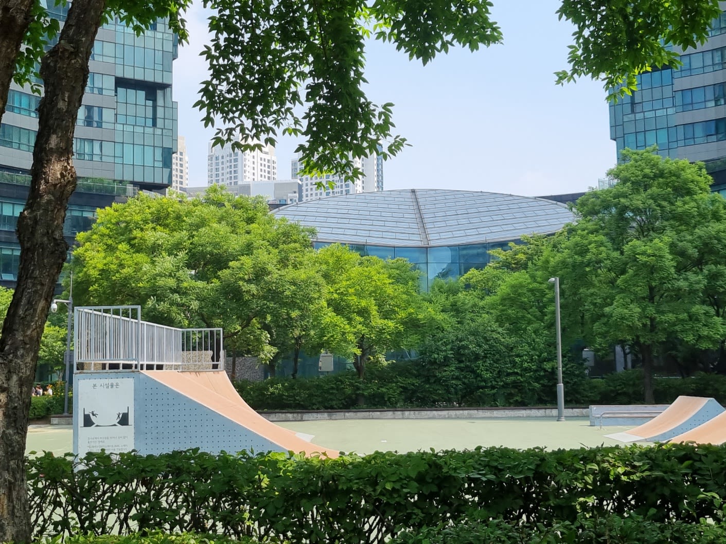 Skating Rink