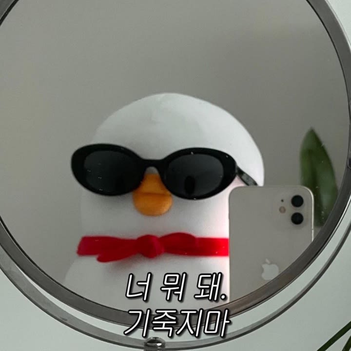 벨라