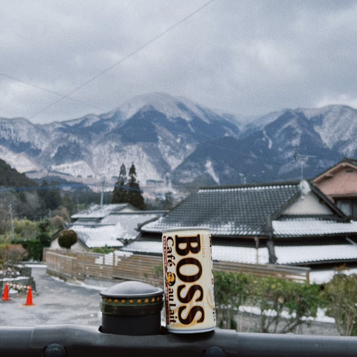 모모
