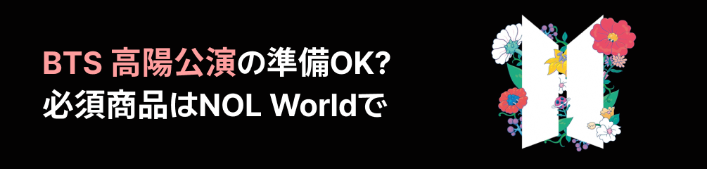 空港鉄道 ロッテワールド 韓国旅行