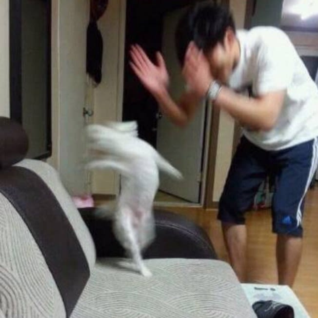 헬덴 광장