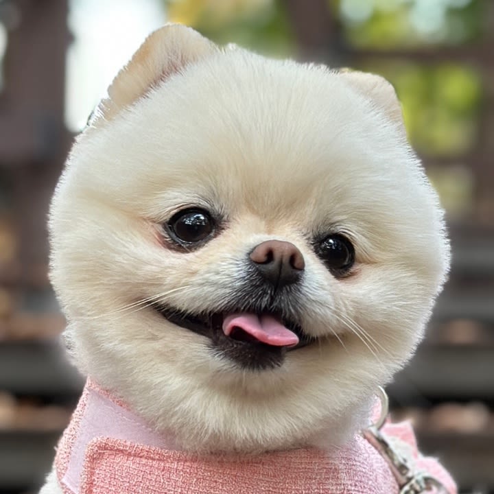 user profile image