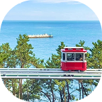 Busan icon