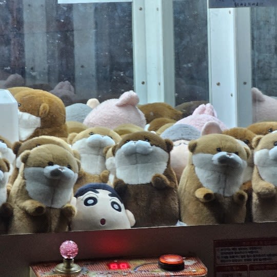 뀨뀪뀨뀪