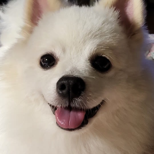 user profile image