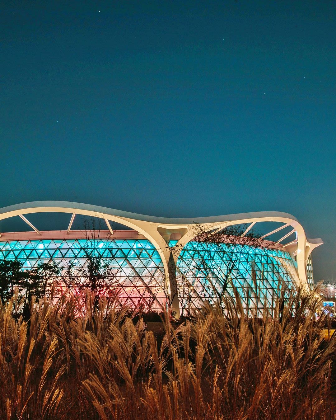 2025 Seoul Botanic Garden Winter