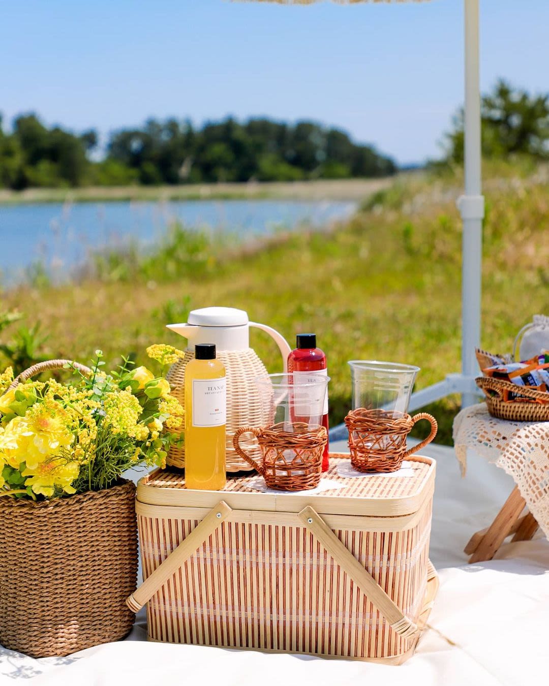 Freea: Personalized Picnic Set Rentals in Jeju | NOL World