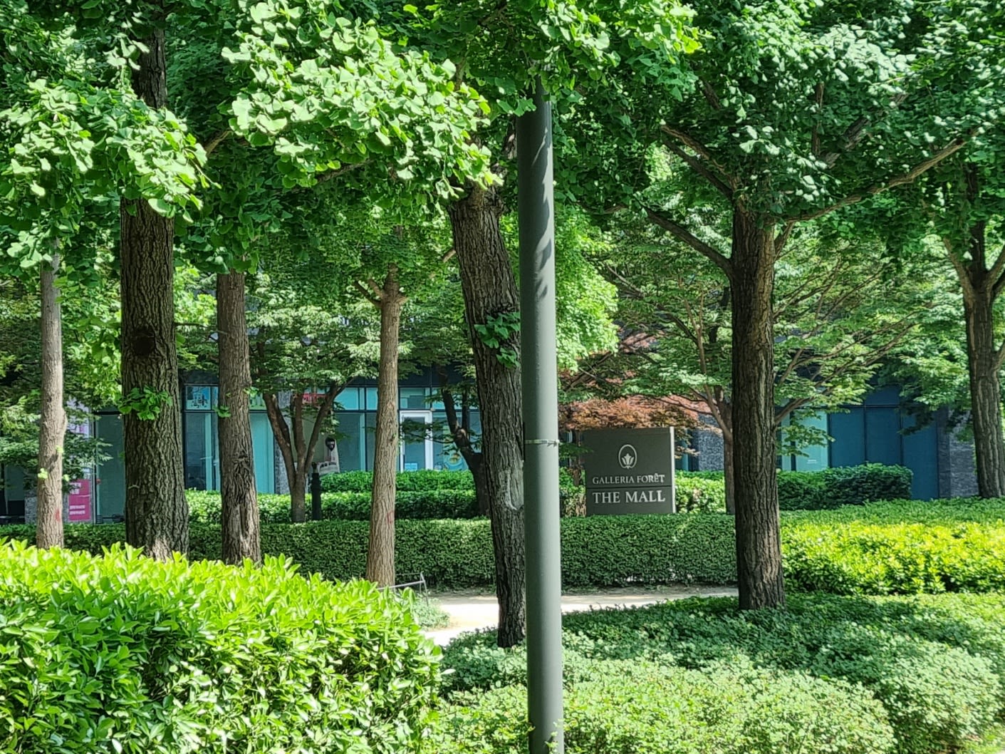 Galleria Foret