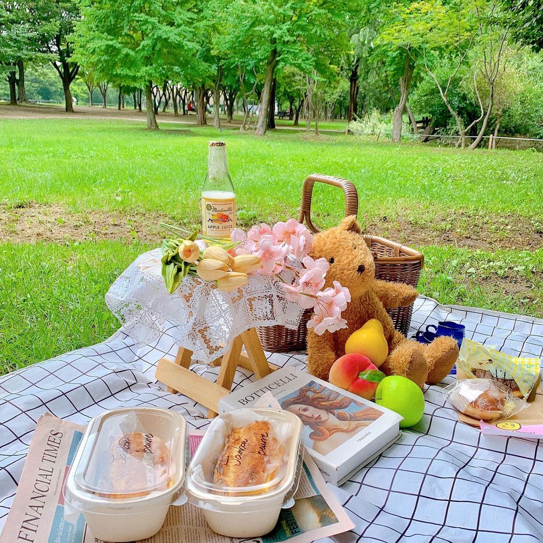 ジャン・デヴィッドソン Jan Devidson 「Picnic」ピクニック ジャン