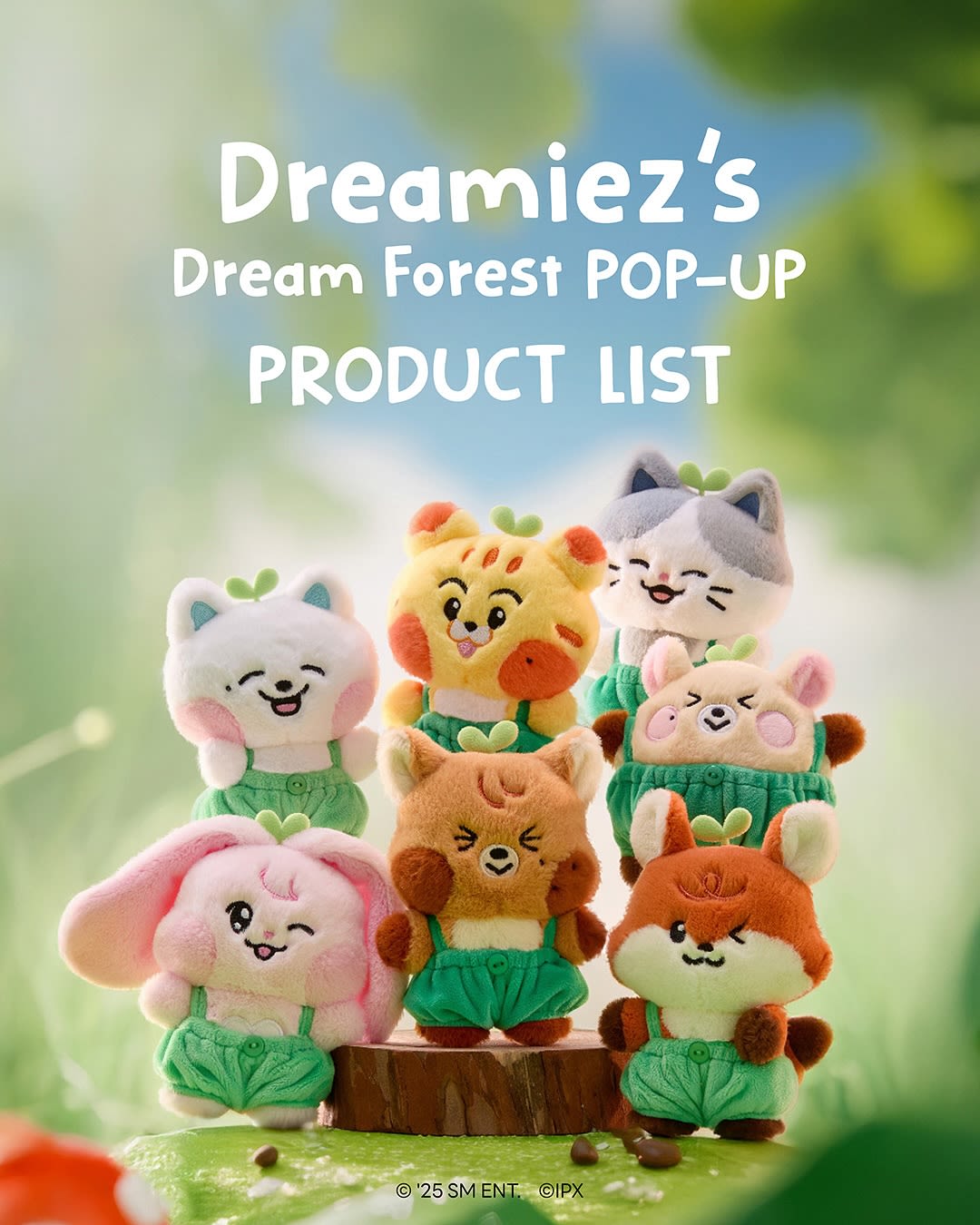 NCT Dream X LINE FRIENDS POP-UP