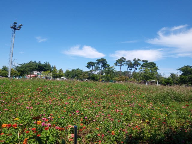 시럽