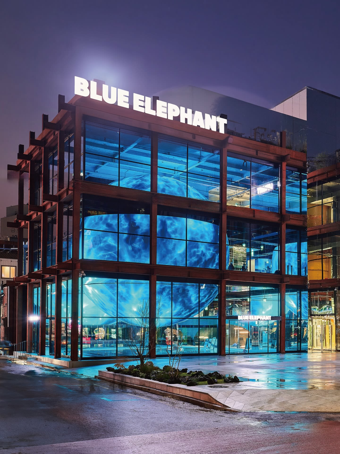 Blue Elephant 旗舰店开业