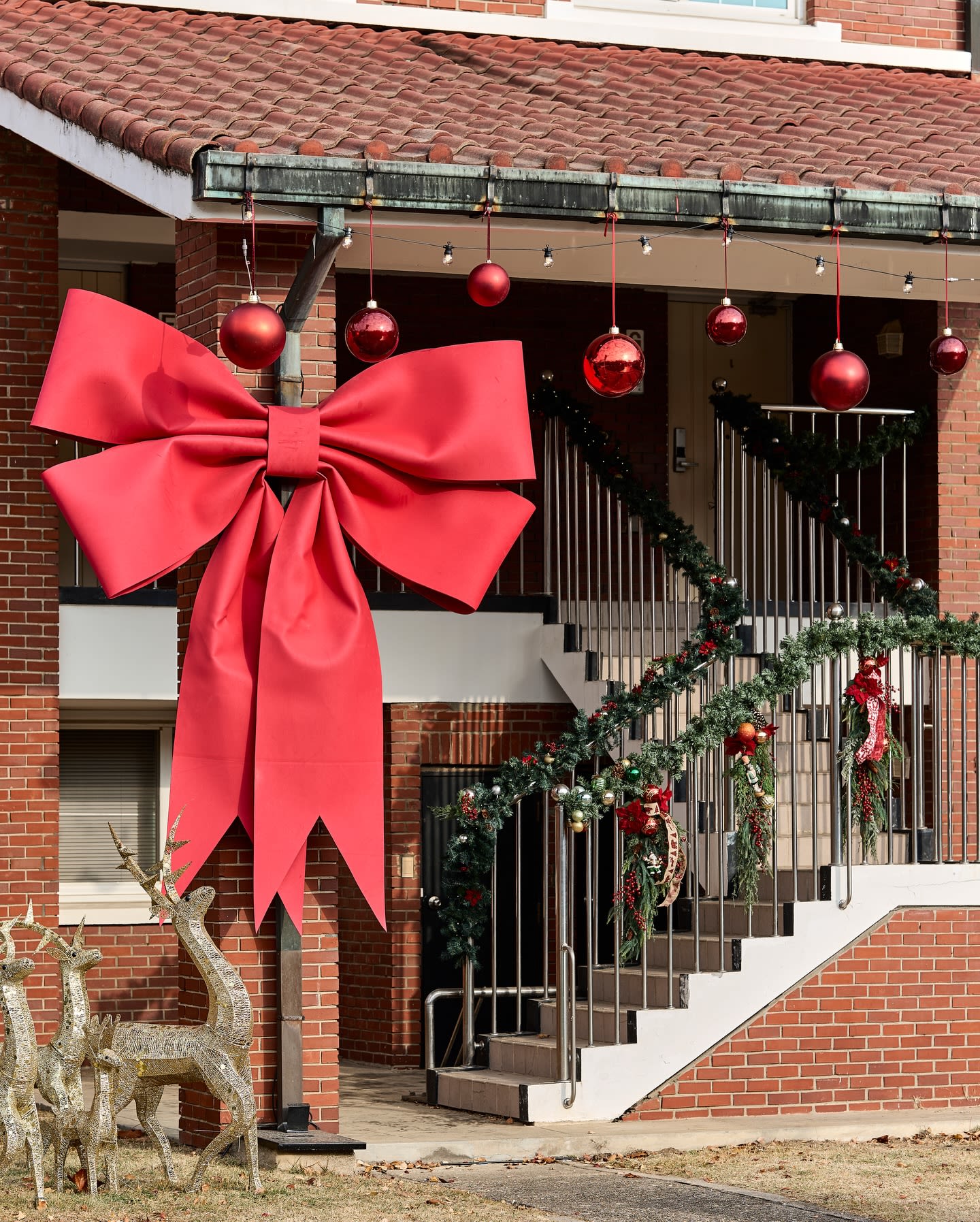 2025 龙山家族公园圣诞村