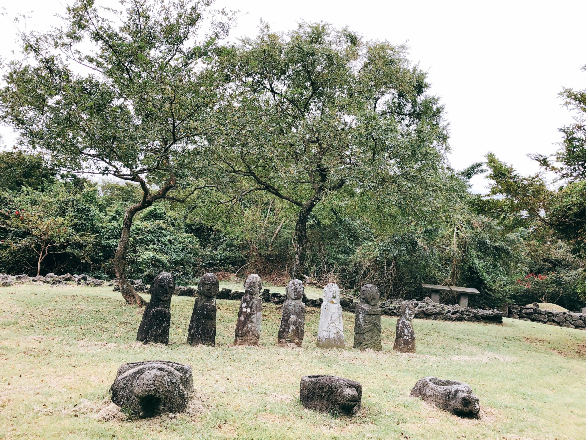 済州石文化公園 - 済州島の石像と自然を楽しむ観光名所 | NOL World