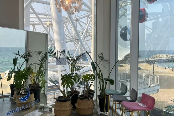 ソウル無料シャトルバス付き☆ ソウル出発！江原道・束草 外国人