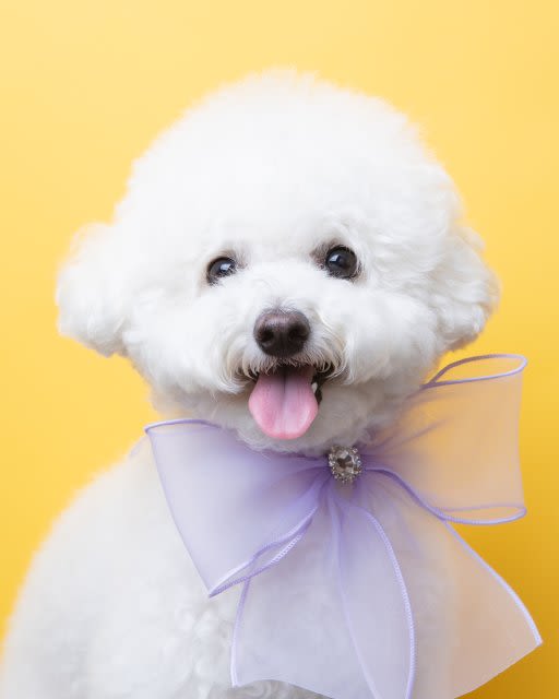 user profile image