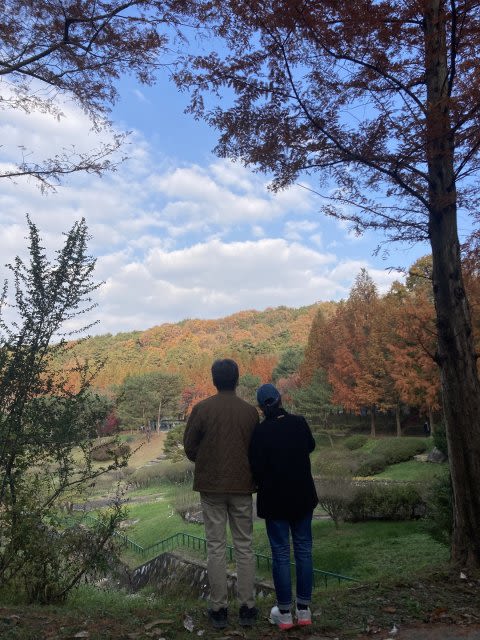 고배기 동산