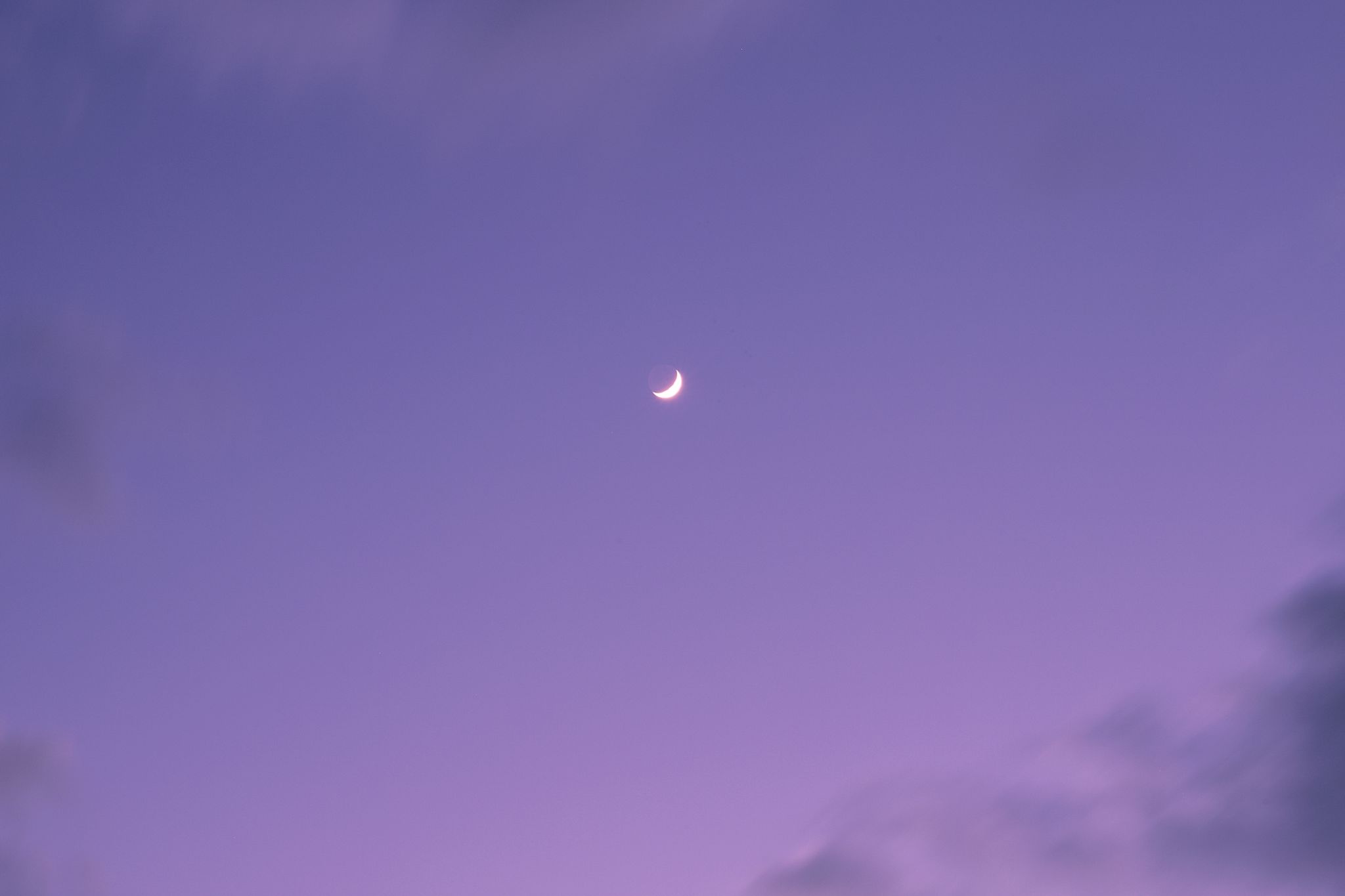 쏭올리