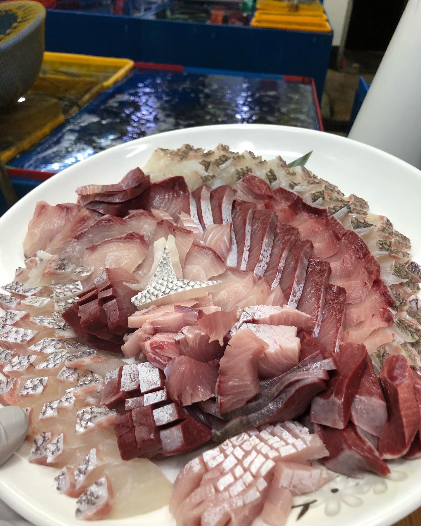 活魚 - Image 1