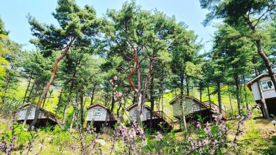 용문산 해와달