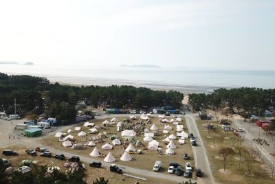 몽산포오션캠핑장