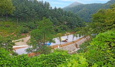 산야초 자연캠핑장