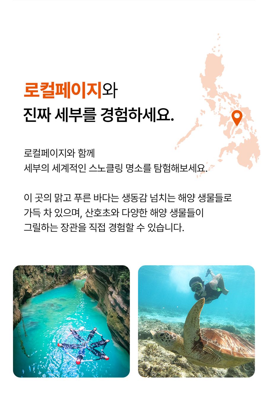 [로컬페이지] 모알보알 거북이 호핑 투어 & 캐녀닝 풀코스 조인투어(필리핀/세부) - 트리플 투어티켓