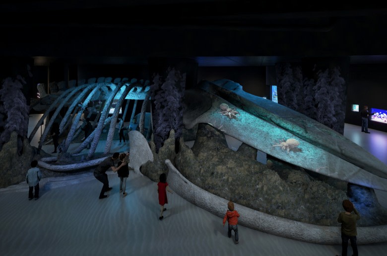 Whale Fall and Sea Mount