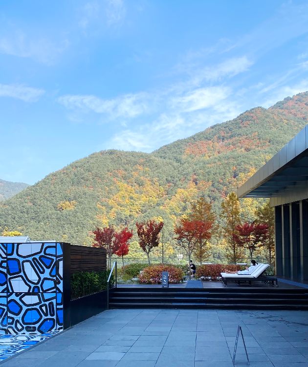 역대급 힐링 호캉스 🌿 ‘파크로쉬에서 보낸 1박 2일 역대급 힐링 호캉스 🌿‘파크로쉬에서 보낸 1박 2일