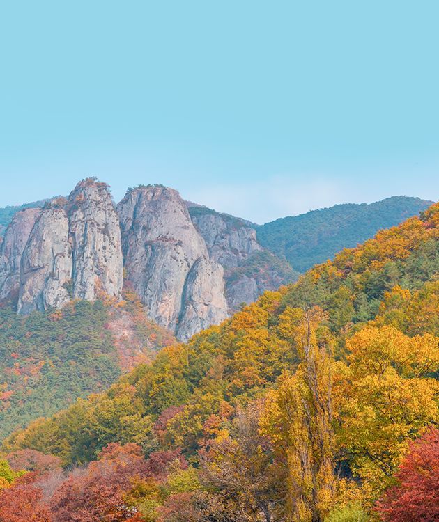 올해 단풍놀이 언제 가지? 2022 전국 단풍 지도 🍁