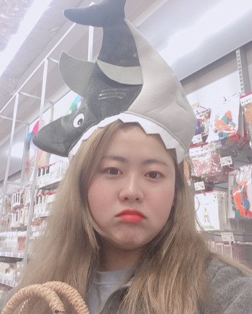 질롱 빈티지 마켓