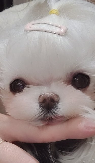 이경은