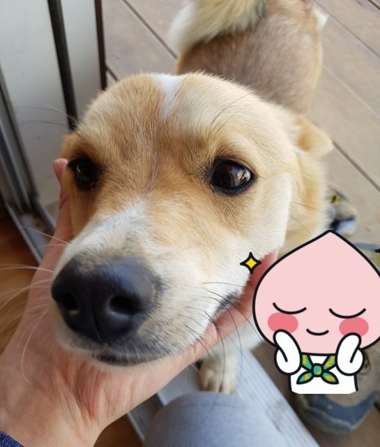 user profile image