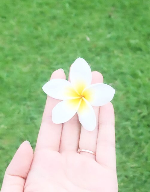 꽃다운