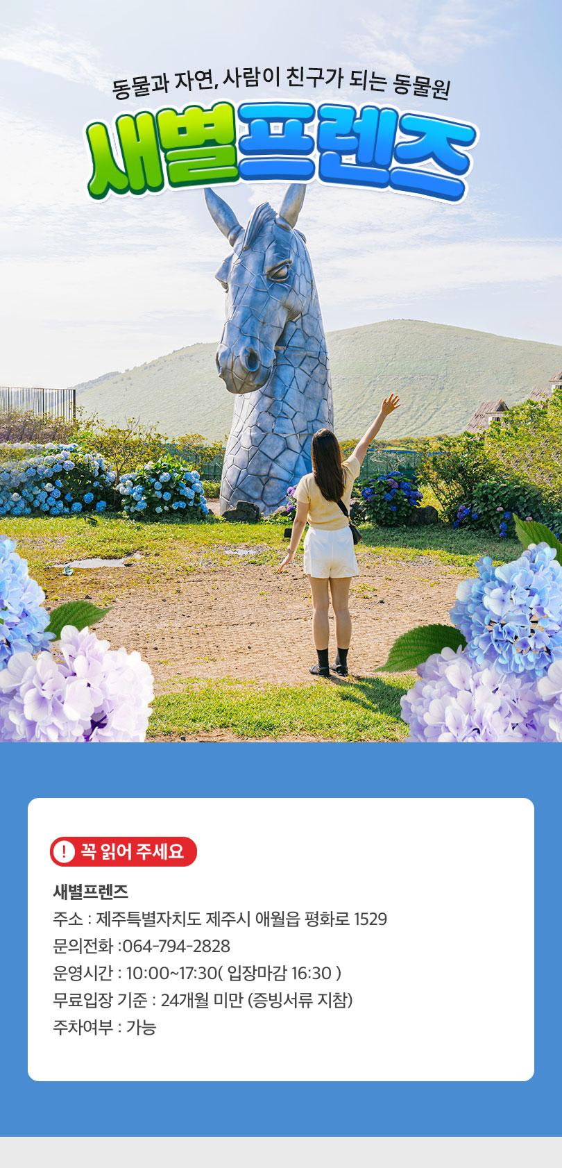 제주 새별 프렌즈 - 트리플 투어티켓