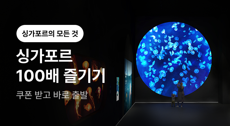 [TNA] 싱가포르 센토사 즐기기